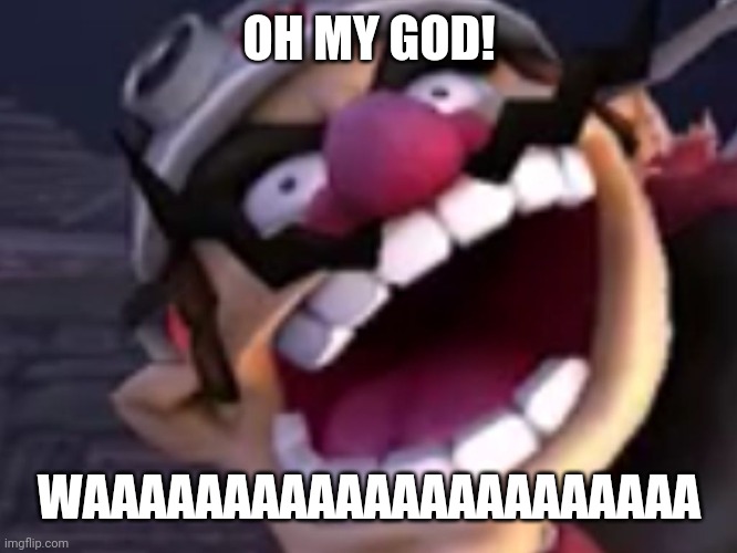 OMG WAAA | OH MY GOD! WAAAAAAAAAAAAAAAAAAAAAA | image tagged in wario | made w/ Imgflip meme maker