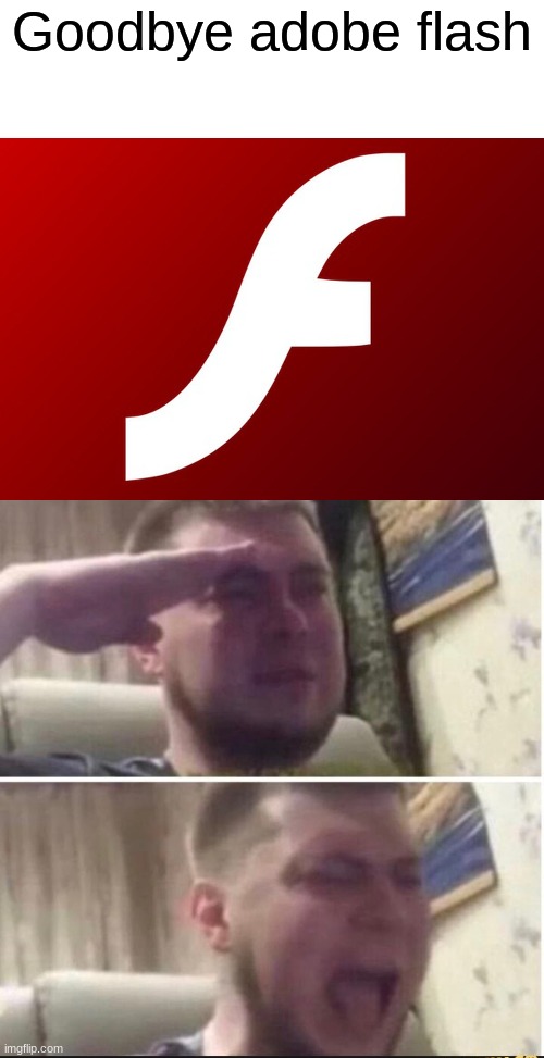 rest in peace, you were a great computer software | Goodbye adobe flash | image tagged in flash | made w/ Imgflip meme maker