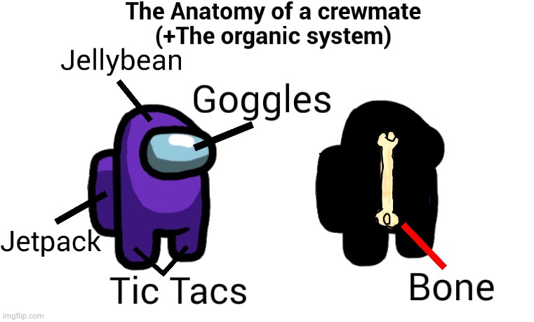 The Anatomy and organic system of a crewmate. | made w/ Imgflip meme maker