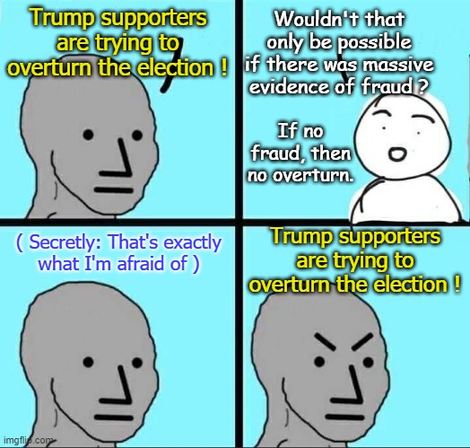 That's Exactly What They're Afraid Of | Wouldn't that only be possible if there was massive evidence of fraud ? Trump supporters are trying to overturn the election ! If no fraud, then no overturn. ( Secretly: That's exactly
what I'm afraid of ); Trump supporters are trying to overturn the election ! | image tagged in npc meme,trump,election overturn | made w/ Imgflip meme maker