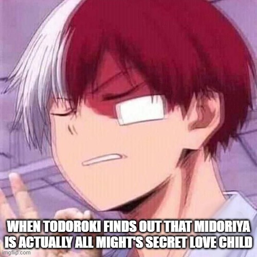 love children ? | WHEN TODOROKI FINDS OUT THAT MIDORIYA IS ACTUALLY ALL MIGHT'S SECRET LOVE CHILD | image tagged in todoroki | made w/ Imgflip meme maker