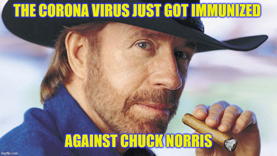 Chuck Norris Virus Meme | THE CORONA VIRUS JUST GOT IMMUNIZED; AGAINST CHUCK NORRIS | image tagged in chuck norris,coronavirus,corona virus,coronavirus meme,corona,funny memes | made w/ Imgflip meme maker