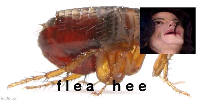 flea | f l e a    h e e | image tagged in flea | made w/ Imgflip meme maker