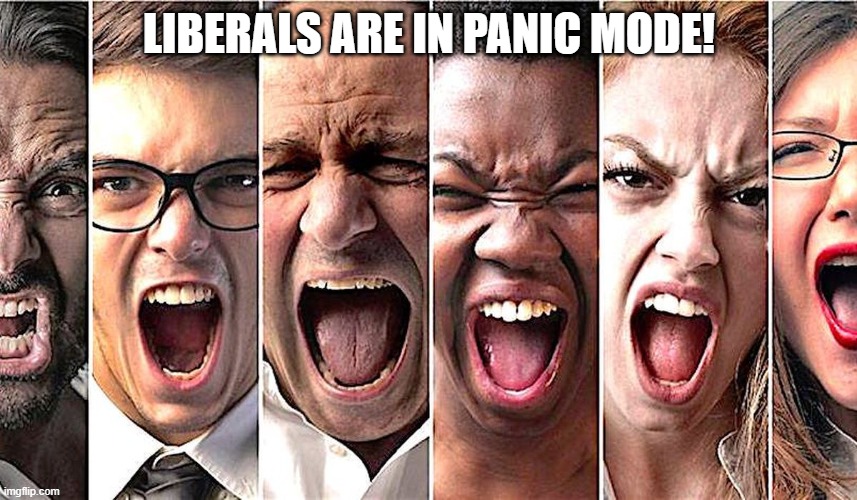 Liberals panic | LIBERALS ARE IN PANIC MODE! | image tagged in liberals | made w/ Imgflip meme maker