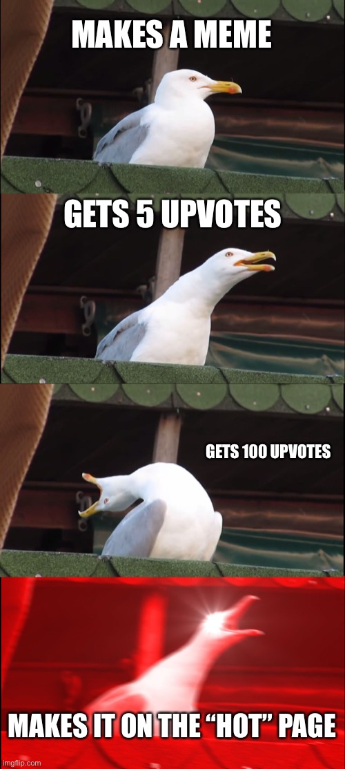imagine getting on the hot page | MAKES A MEME; GETS 5 UPVOTES; GETS 100 UPVOTES; MAKES IT ON THE “HOT” PAGE | image tagged in memes,inhaling seagull,hot | made w/ Imgflip meme maker