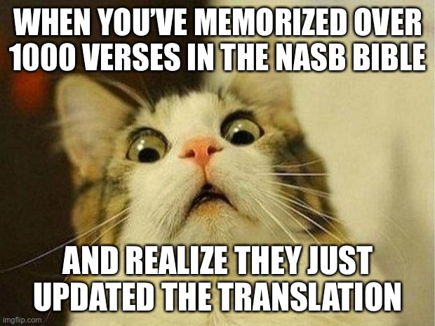 LOL | WHEN YOU’VE MEMORIZED OVER 1000 VERSES IN THE NASB BIBLE; AND REALIZE THEY JUST UPDATED THE TRANSLATION | image tagged in memes,scared cat,funny,nasb,christian,bible | made w/ Imgflip meme maker