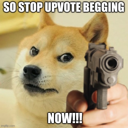 Doge holding a gun | SO STOP UPVOTE BEGGING NOW!!! | image tagged in doge holding a gun | made w/ Imgflip meme maker