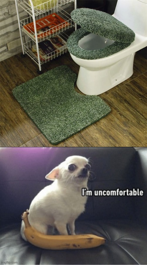 why is this a thing | image tagged in uncomfortable dog,memes,funny | made w/ Imgflip meme maker