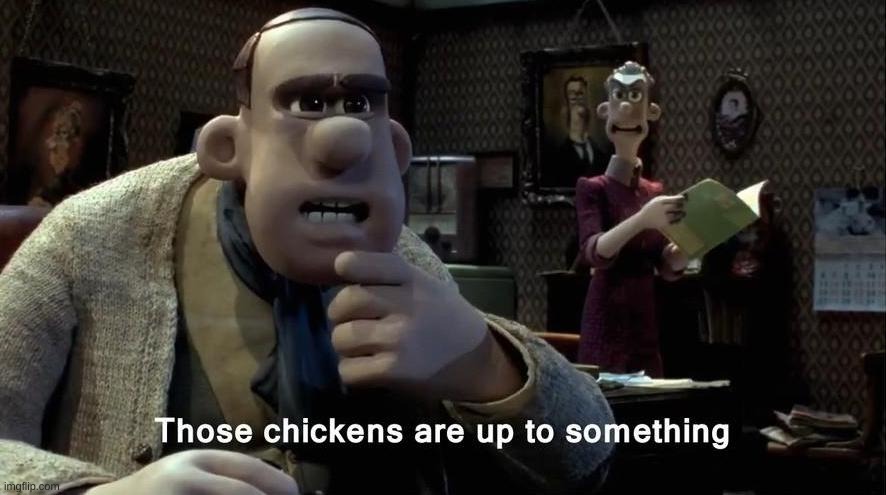 Those chickens are up to something | image tagged in those chickens are up to something | made w/ Imgflip meme maker