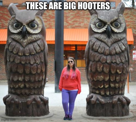 Big Hooters | THESE ARE BIG HOOTERS | image tagged in hooters,owls,statues,big,woman,birds | made w/ Imgflip meme maker