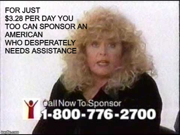 Sally Struthers has an important message about Stimulus and 600 dollar semi annual payments. | FOR JUST $3.28 PER DAY YOU TOO CAN SPONSOR AN 
AMERICAN WHO DESPERATELY NEEDS ASSISTANCE | image tagged in stop the steal,stop congress,maga 2020,stimulus packages are payoffs | made w/ Imgflip meme maker