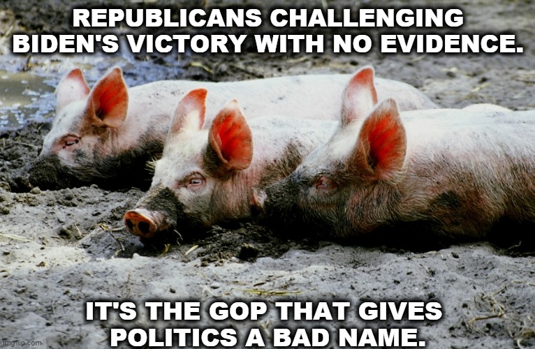 85 judges heard Trump's whining and threw him out of court. These pigs chose Trump over the Constitution. | REPUBLICANS CHALLENGING BIDEN'S VICTORY WITH NO EVIDENCE. IT'S THE GOP THAT GIVES 
POLITICS A BAD NAME. | image tagged in trump,whining,gop,republican,lies | made w/ Imgflip meme maker