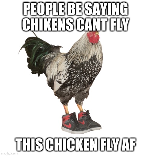 chicken wearing shoes | PEOPLE BE SAYING CHIKENS CANT FLY; THIS CHICKEN FLY AF | image tagged in chicken | made w/ Imgflip meme maker
