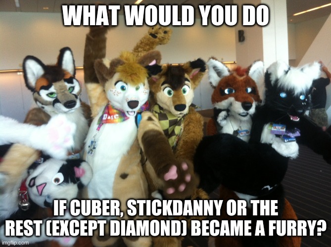Furries | WHAT WOULD YOU DO; IF CUBER, STICKDANNY OR THE REST (EXCEPT DIAMOND) BECAME A FURRY? | image tagged in furries | made w/ Imgflip meme maker