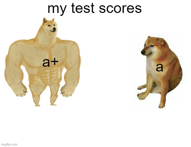 Buff Doge vs. Cheems | my test scores; a; a+ | image tagged in memes,buff doge vs cheems | made w/ Imgflip meme maker