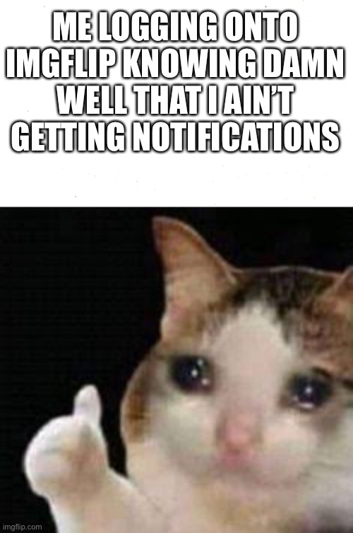 ME LOGGING ONTO IMGFLIP KNOWING DAMN WELL THAT I AIN’T GETTING NOTIFICATIONS | image tagged in approved crying cat | made w/ Imgflip meme maker