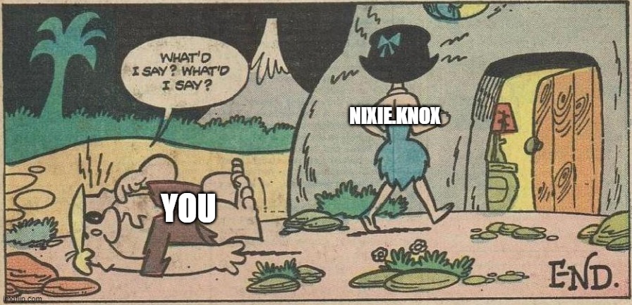 what'd i say? what'd i say? | NIXIE.KNOX YOU | image tagged in what'd i say what'd i say | made w/ Imgflip meme maker