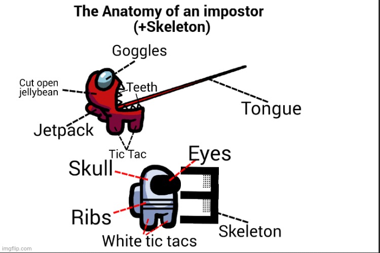 The Anatomy and skeletm of an Impostor | made w/ Imgflip meme maker