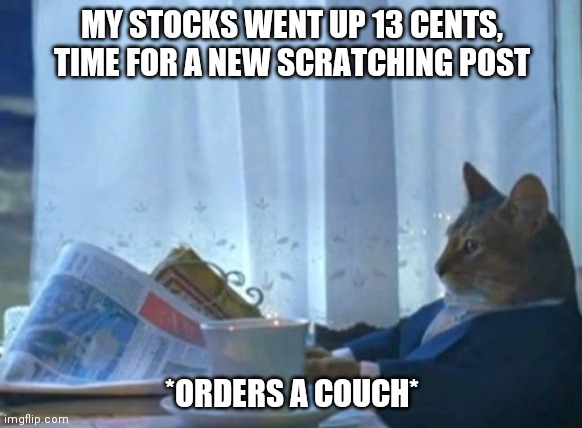 I Should Buy A Boat Cat Meme |  MY STOCKS WENT UP 13 CENTS, TIME FOR A NEW SCRATCHING POST; *ORDERS A COUCH* | image tagged in memes,i should buy a boat cat | made w/ Imgflip meme maker