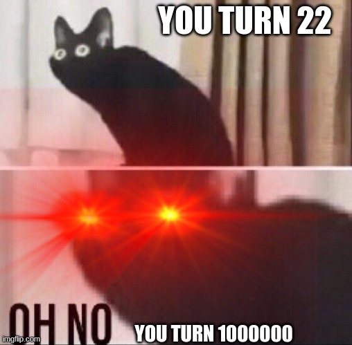 What if someone is actually this age O_O | YOU TURN 22; YOU TURN 1000000 | image tagged in oh no cat,ages,lol so funny | made w/ Imgflip meme maker