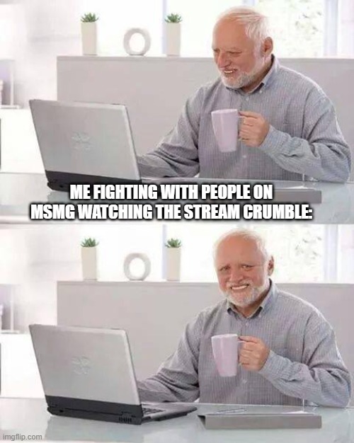 ima start to make myself at home here :) |  ME FIGHTING WITH PEOPLE ON MSMG WATCHING THE STREAM CRUMBLE: | image tagged in memes,hide the pain harold | made w/ Imgflip meme maker