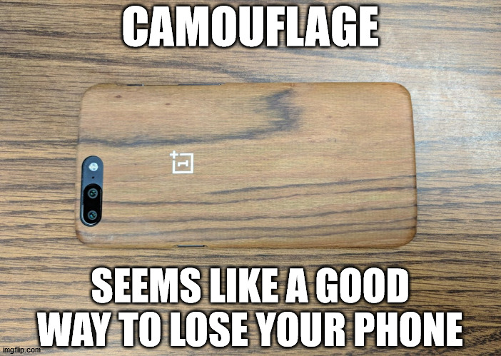 CAMOUFLAGE; SEEMS LIKE A GOOD WAY TO LOSE YOUR PHONE | made w/ Imgflip meme maker