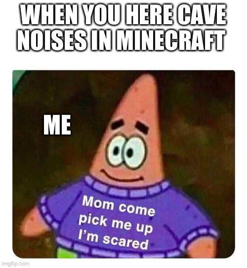 Sup | WHEN YOU HERE CAVE NOISES IN MINECRAFT; ME | image tagged in patrick mom come pick me up i'm scared | made w/ Imgflip meme maker