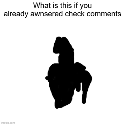 What is this? | What is this if you already awnsered check comments | image tagged in memes,blank transparent square | made w/ Imgflip meme maker