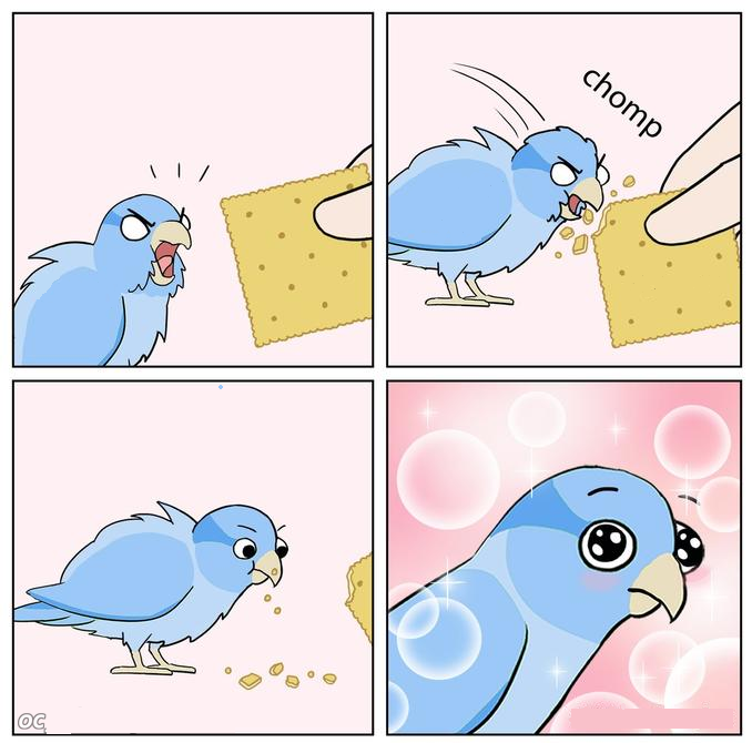 Mad Bird Blank Meme Template