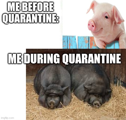 I honestly let myself go. | ME BEFORE QUARANTINE:; ME DURING QUARANTINE | image tagged in covid-19 | made w/ Imgflip meme maker