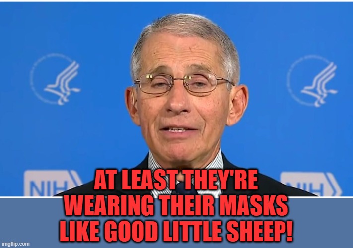 Dr Fauci | AT LEAST THEY'RE WEARING THEIR MASKS LIKE GOOD LITTLE SHEEP! | image tagged in dr fauci | made w/ Imgflip meme maker