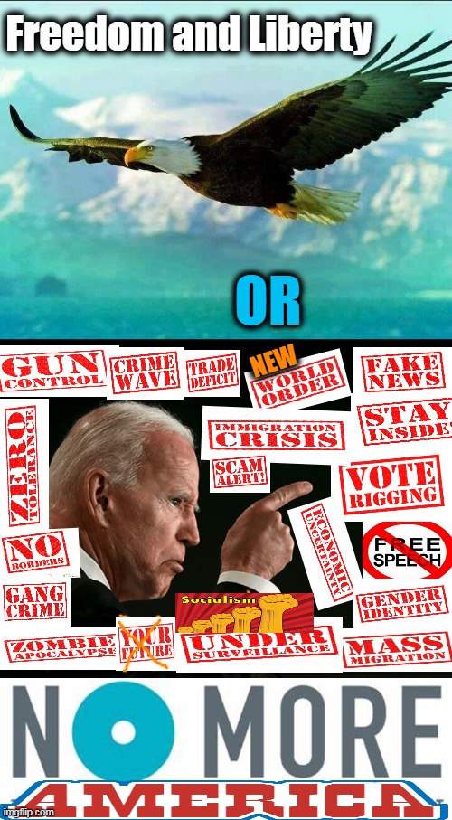 Be Careful What You Wish For... | Freedom and Liberty; OR; NEW | image tagged in political meme,democratic socialism,joe biden,nwo,socialism,liberalism | made w/ Imgflip meme maker