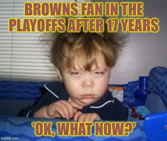 Seriously, what should we do? | BROWNS FAN IN THE PLAYOFFS AFTER 17 YEARS; 'OK, WHAT NOW?' | image tagged in what now,browns,playoffs | made w/ Imgflip meme maker