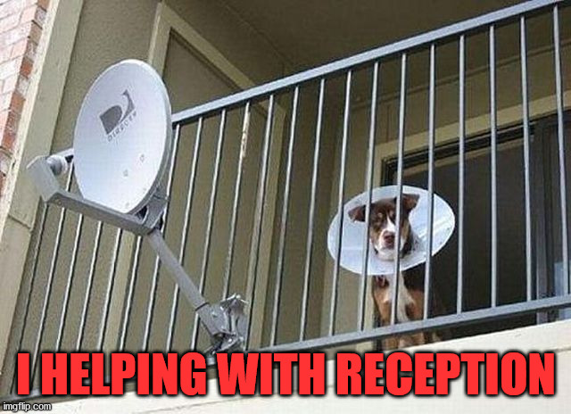 I HELPING WITH RECEPTION | made w/ Imgflip meme maker