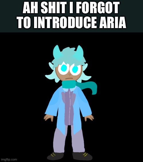 AH SHIT I FORGOT TO INTRODUCE ARIA | made w/ Imgflip meme maker