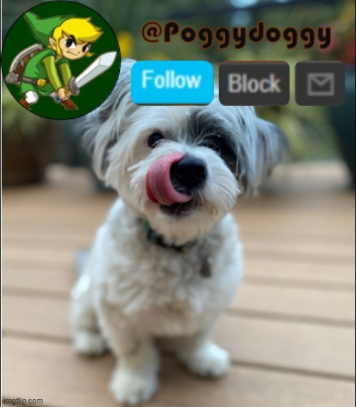 poggydoggy announcment Blank Meme Template