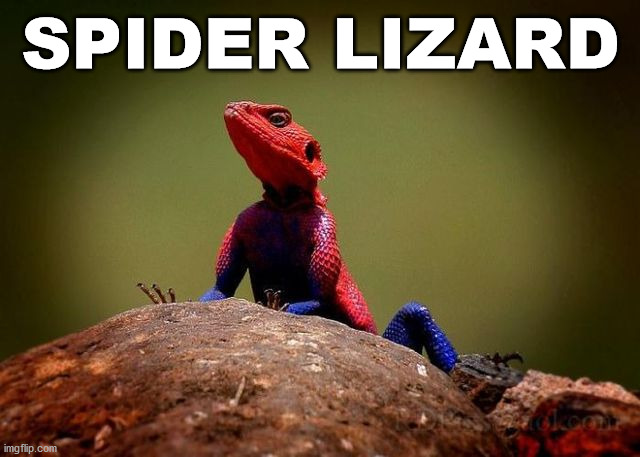 SPIDER LIZARD | made w/ Imgflip meme maker