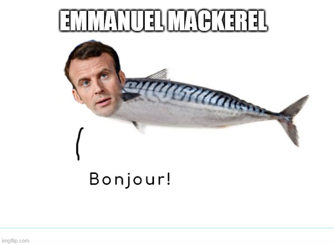 Oui oui | EMMANUEL MACKEREL | image tagged in emmanuel mackerel,macron,emmanuel macron,lol,news,france | made w/ Imgflip meme maker
