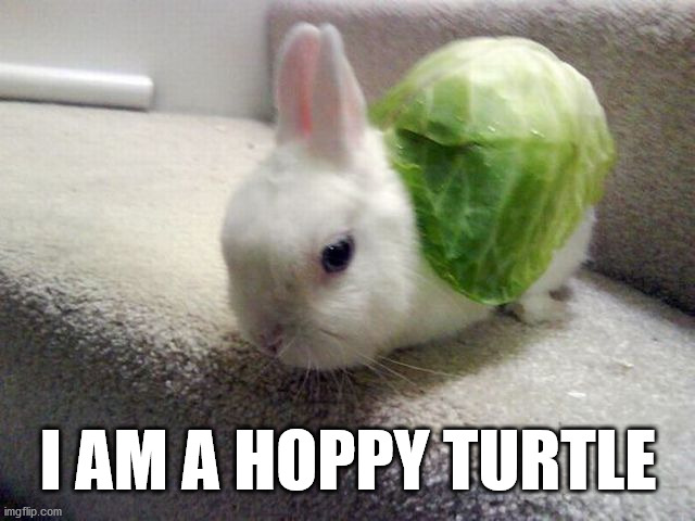 I AM A HOPPY TURTLE | made w/ Imgflip meme maker