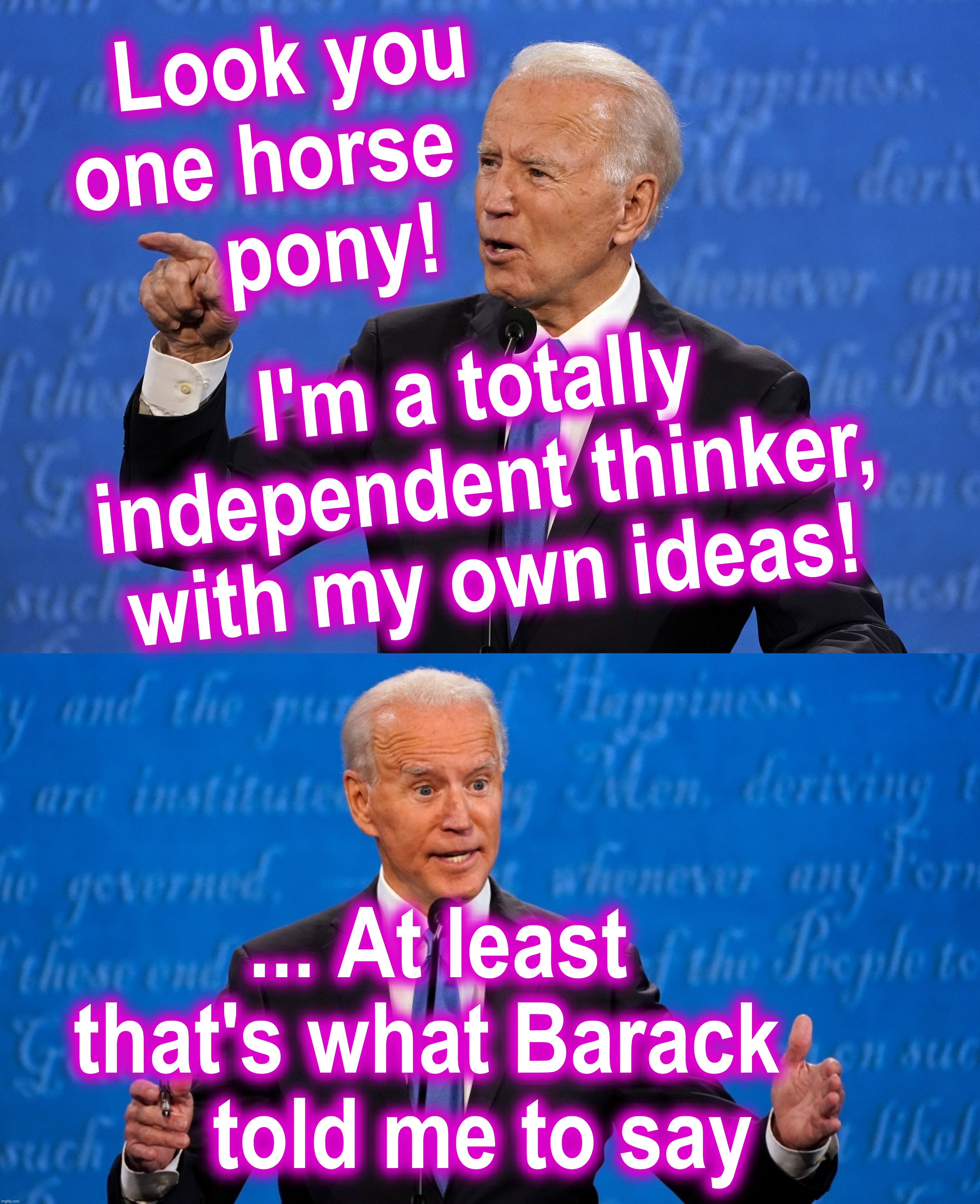 [warning: it's-only-words satire] | Look you one horse 
  pony! I'm a totally independent thinker, with my own ideas! ... At least that's what Barack 
    told me to say | image tagged in biden,joe biden,barack obama,puppet | made w/ Imgflip meme maker