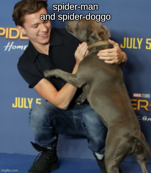 tom holland with his dog | spider-man and spider-doggo | image tagged in tom holland with his dog,wholesome | made w/ Imgflip meme maker