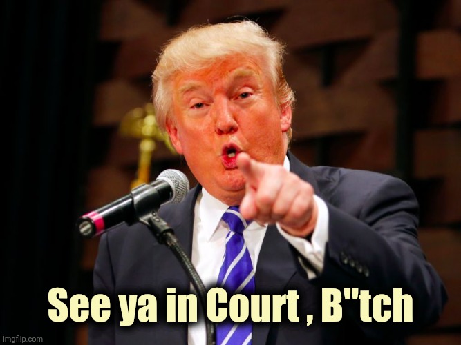 trump point | See ya in Court , B"tch | image tagged in trump point | made w/ Imgflip meme maker