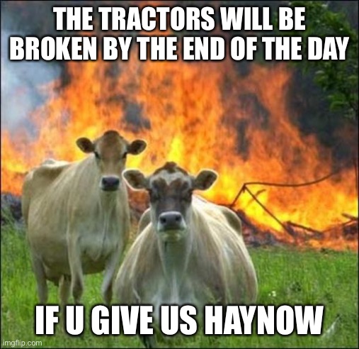 Evil Cows Meme | THE TRACTORS WILL BE BROKEN BY THE END OF THE DAY; IF U GIVE US HAY NOW | image tagged in memes,evil cows | made w/ Imgflip meme maker