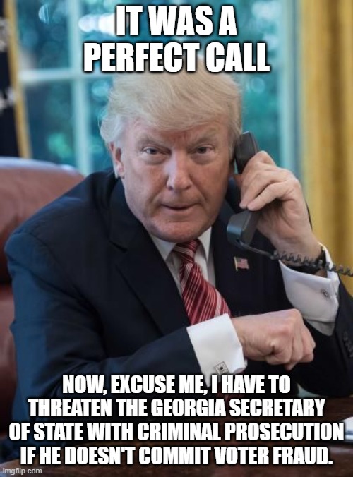 Trump phone | IT WAS A PERFECT CALL; NOW, EXCUSE ME, I HAVE TO THREATEN THE GEORGIA SECRETARY OF STATE WITH CRIMINAL PROSECUTION IF HE DOESN'T COMMIT VOTER FRAUD. | image tagged in trump phone | made w/ Imgflip meme maker