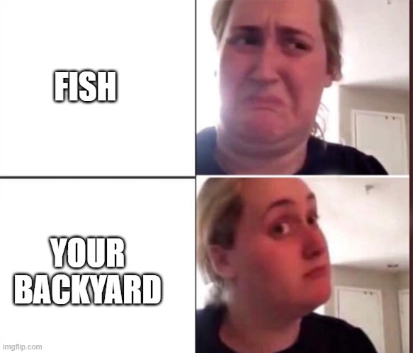 FISH YOUR BACKYARD | image tagged in kombucha girl | made w/ Imgflip meme maker