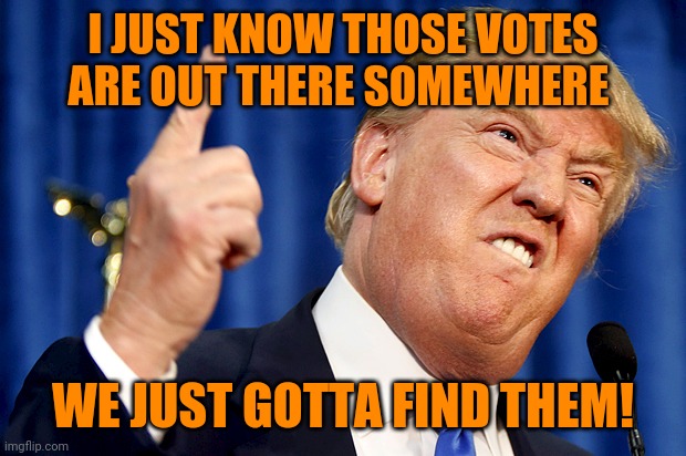 Donald Trump | I JUST KNOW THOSE VOTES ARE OUT THERE SOMEWHERE WE JUST GOTTA FIND THEM! | image tagged in donald trump | made w/ Imgflip meme maker
