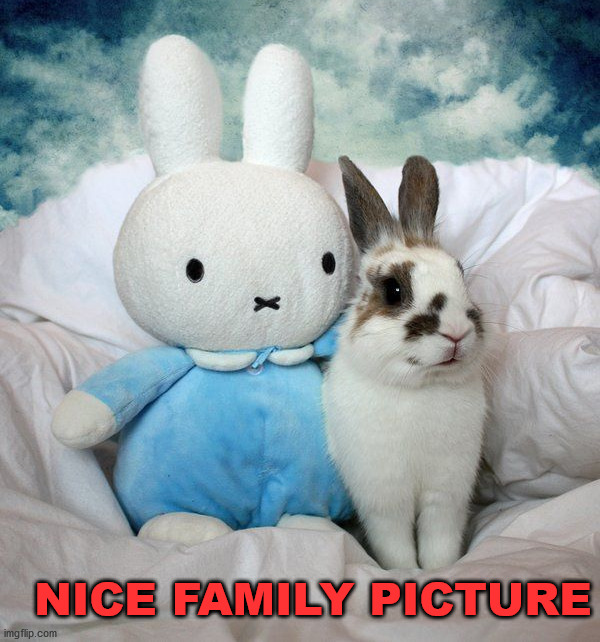 NICE FAMILY PICTURE | made w/ Imgflip meme maker