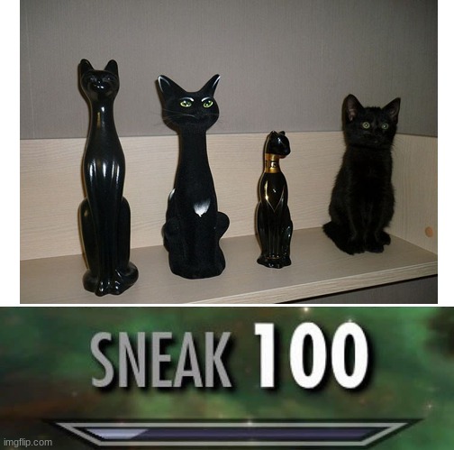 da sneaky boi | image tagged in cats,sneaky | made w/ Imgflip meme maker