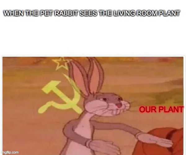 communist bugs bunny | WHEN THE PET RABBIT SEES THE LIVING ROOM PLANT; OUR PLANT | image tagged in communist bugs bunny | made w/ Imgflip meme maker