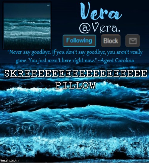 e | SKREEEEEEEEEEEEEEEEEE
PILLOW | image tagged in a n n o u n c e r e v i s e d | made w/ Imgflip meme maker